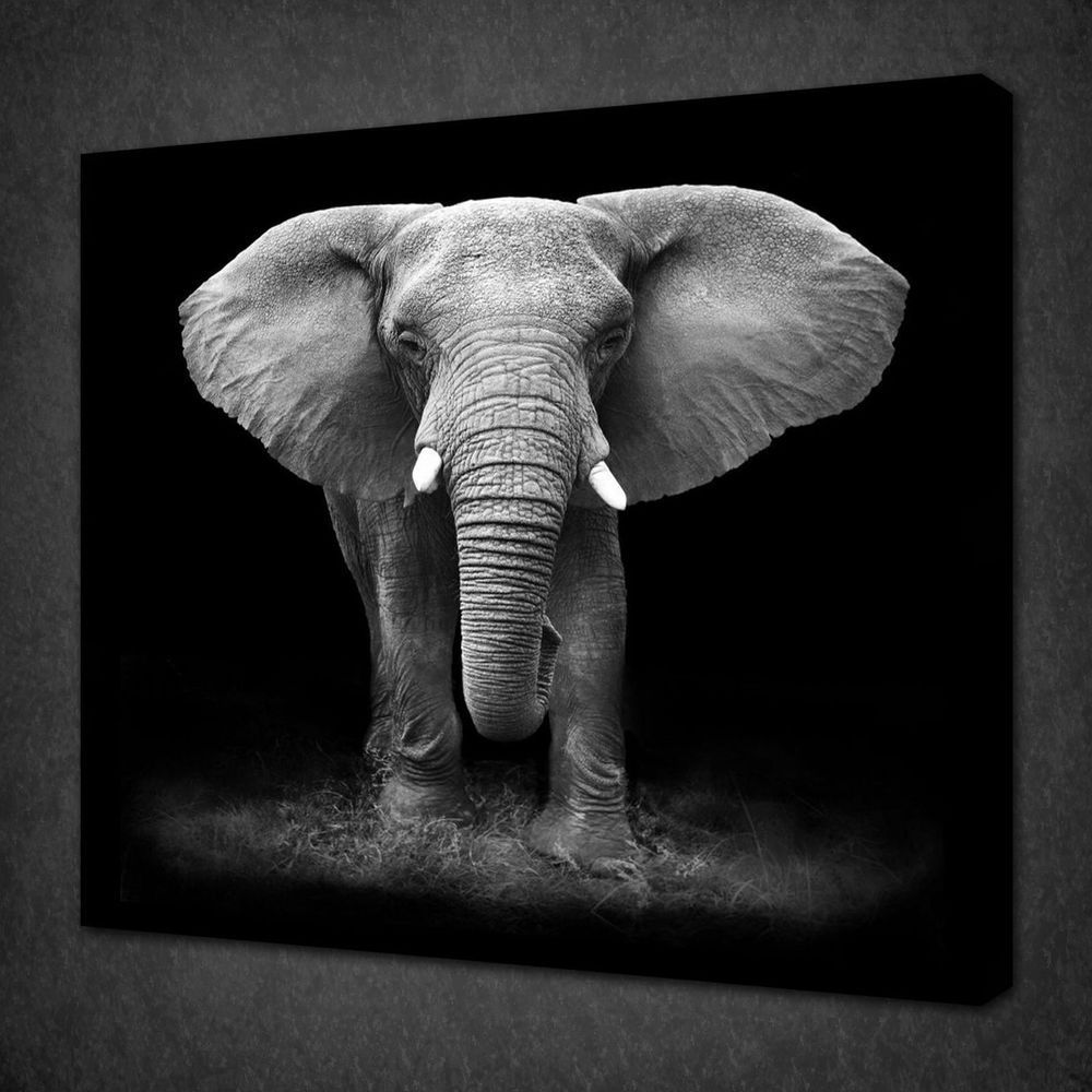 Framed Black White Elephant Animals Design Canvas Print Wall Art Decor Throughout Elephants Wall Art (View 6 of 15)