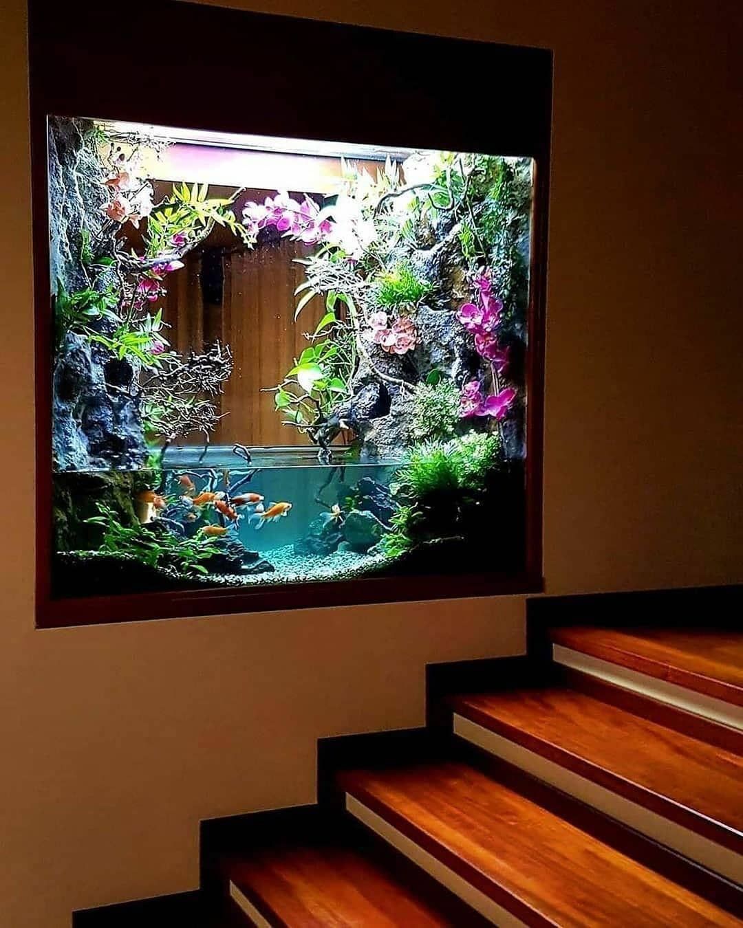 How Gorgeous Is This In Wall Aquarium?! 😍 How Would You Stock It Pertaining To Aquarium Wall Art (View 4 of 15)