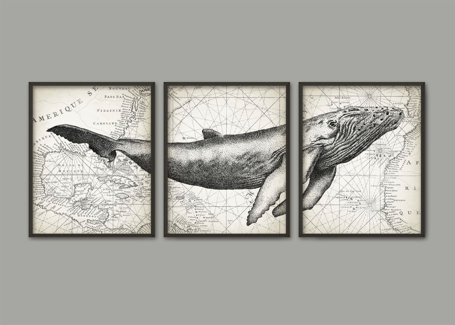 Humpback Whale Wall Art Poster Set Of 3 Whalequantumprints | Whale Pertaining To Humpback Whale Wall Art (View 7 of 15)