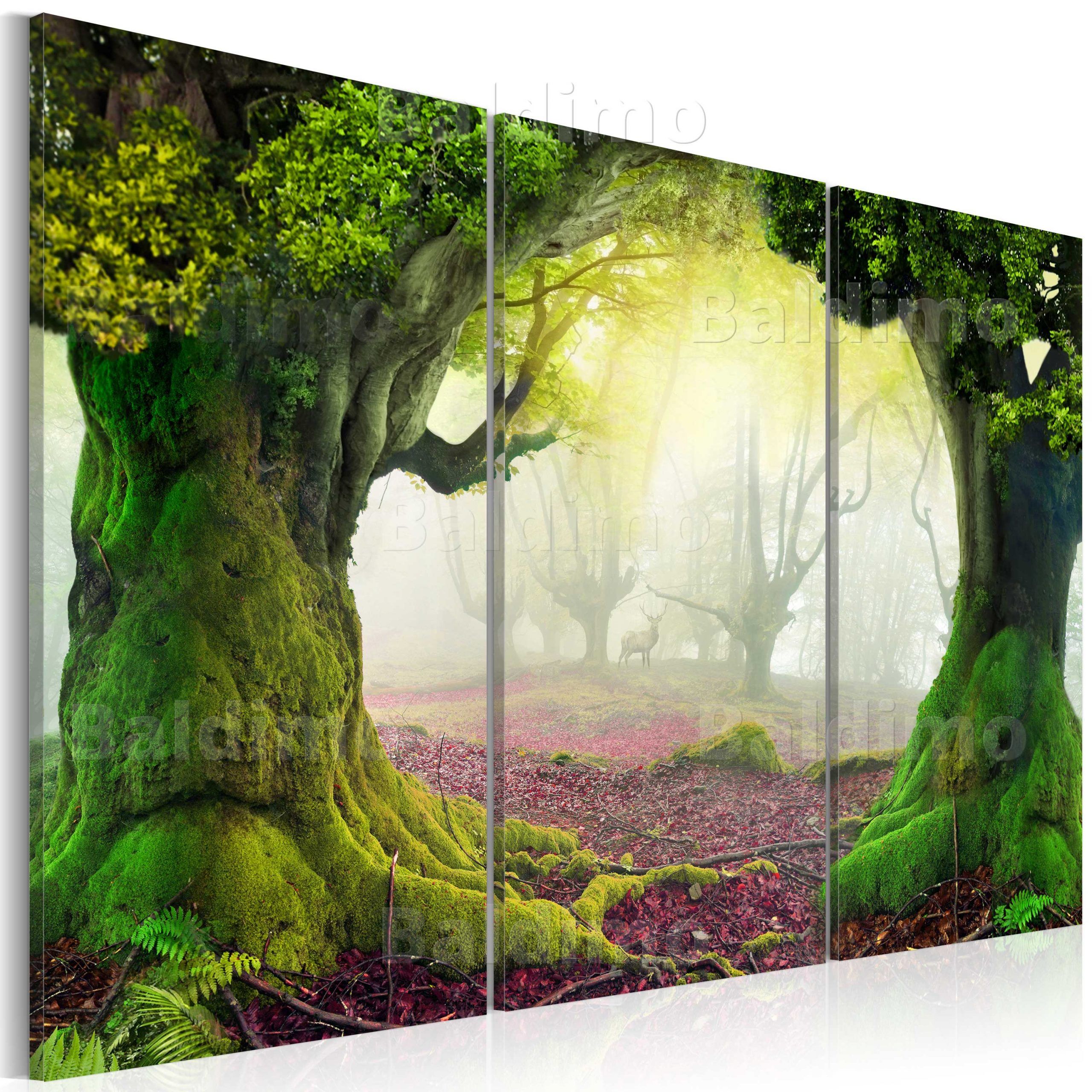 Large Canvas Wall Art Print + Image + Picture + Photo Nature 030112 70 For Natural Wall Art (View 8 of 15)