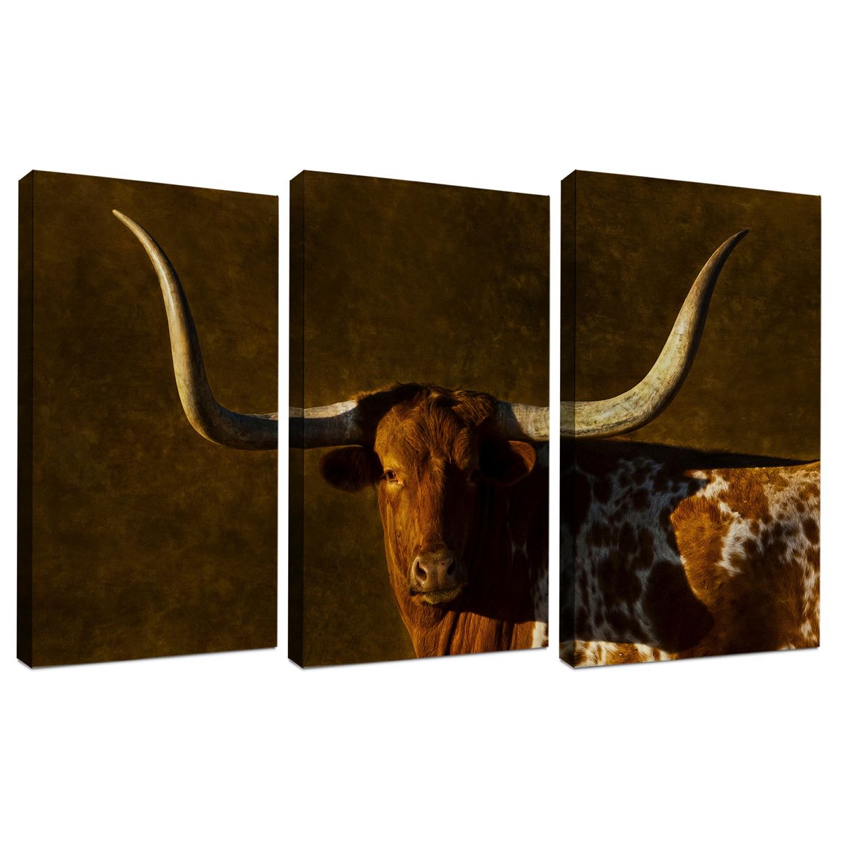 Longhorn Legacy Triptych Wall Art – Set Of 3 Throughout Long Horn Wall Art (View 13 of 15)
