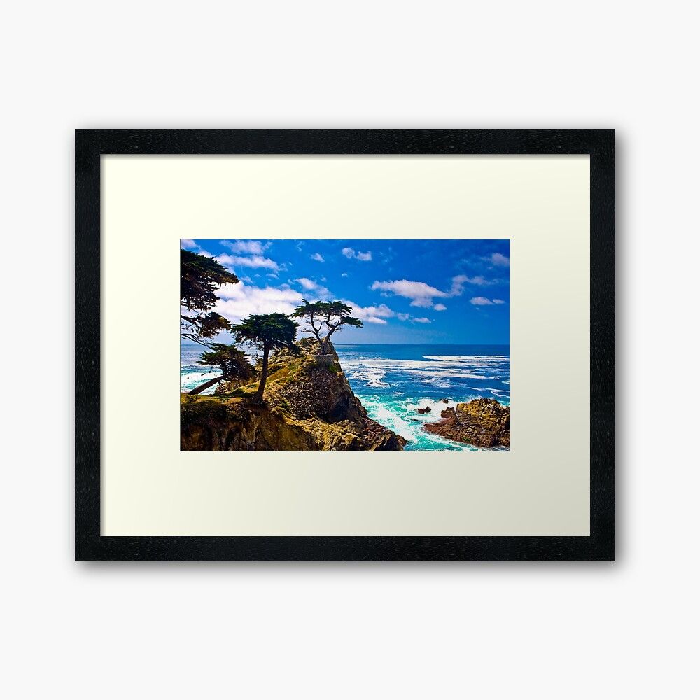 "Monterey Lone Cypress" Framed Art Printphotosbyflood | Redbubble With Regard To Cypress Wall Art (View 15 of 15)
