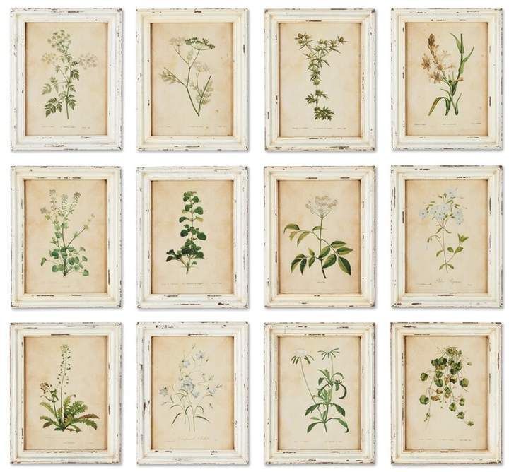 One Allium Way Wild Flower Botanical 12 Piece Framed Graphic Art Set With Regard To 12 Piece Wall Art (View 13 of 15)