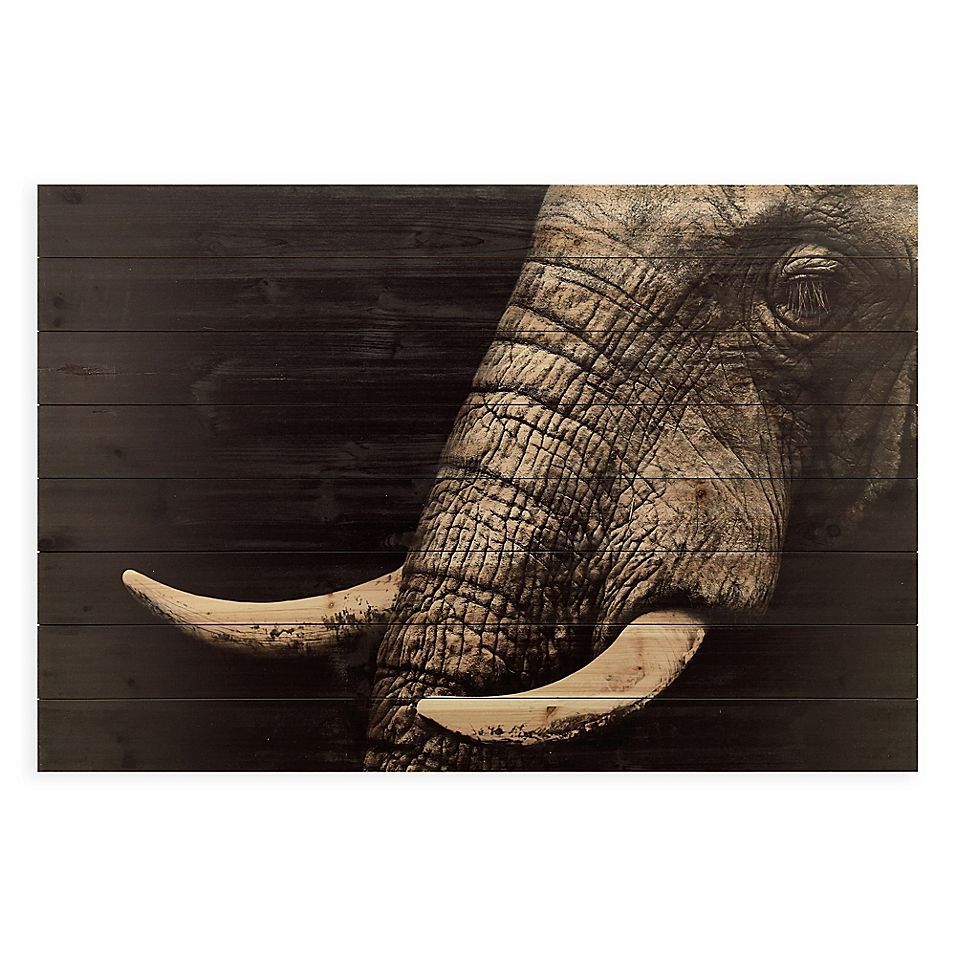 Pinapril Benson On Diy | Wood Wall Art, Animal Wall Art, Elephant In Elephants Wall Art (View 8 of 15)