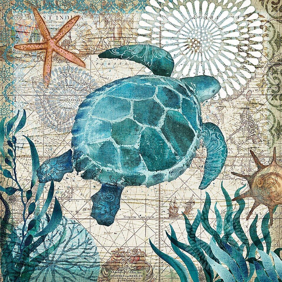 Portfolio Arts Group Monterey Bay Sea Turtle 24" Square Canvas Wall Art With Turtles Wall Art (View 9 of 15)