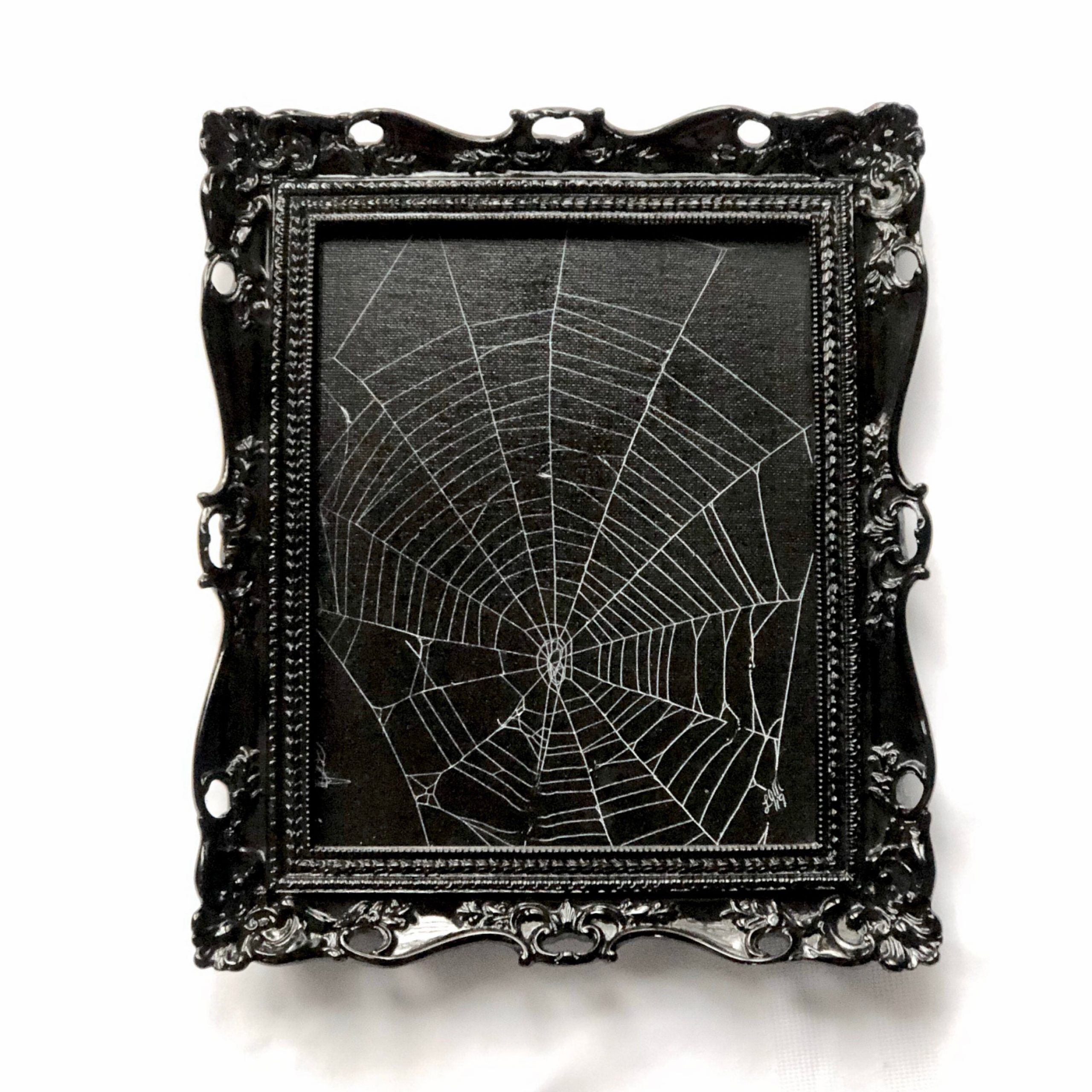 Real Spider Web, Preserved Spider Web, Framed Spider Web, Spider Web With Regard To Web Wall Art (View 2 of 15)