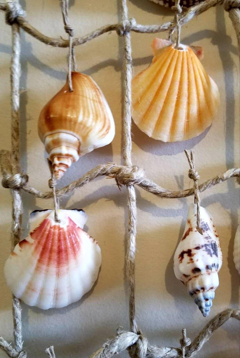 Sea Shell Hanging Wall Art Wall Decoration Palm Tree Sea | Etsy With Regard To Sea Wall Art (View 5 of 15)