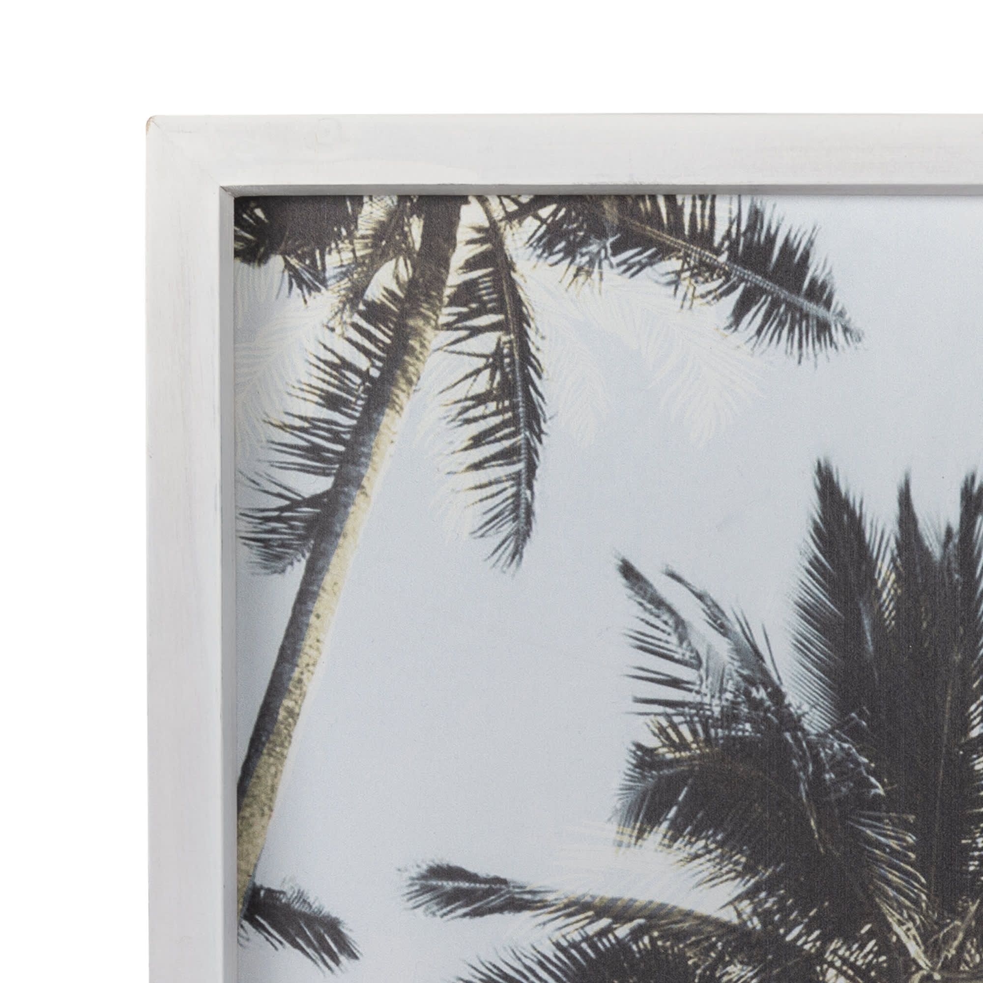 Single Palm Tree White Wood Framed Wall Art — Pier 1 Intended For Desert Palms Wall Art (View 10 of 15)