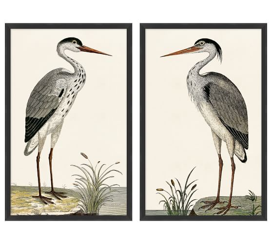 Spotted Heron Framed Prints | Heron, Antique Inspiration, Wall Art Throughout Heron Bird Wall Art (View 6 of 15)