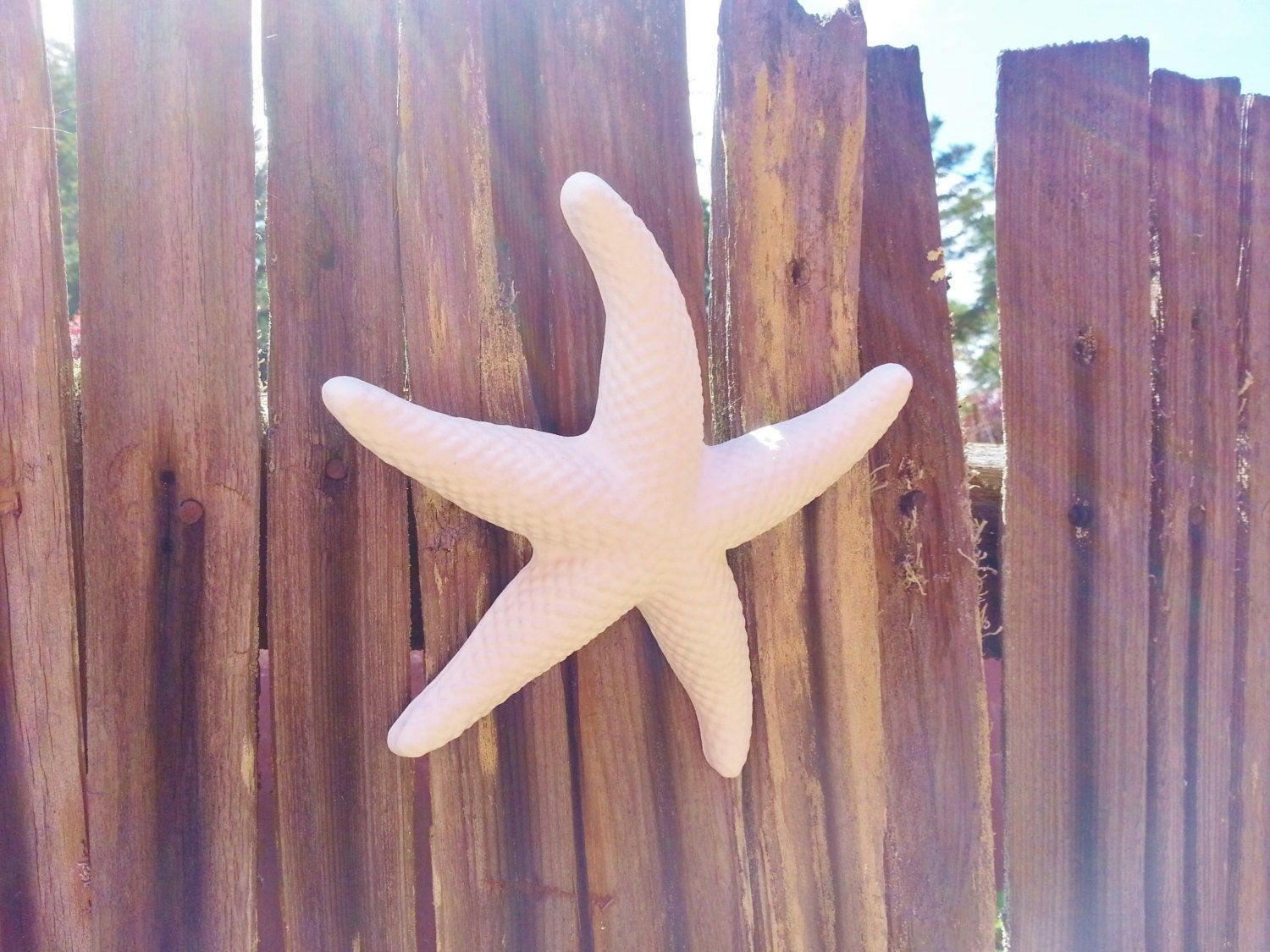 Starfish Wall Decor Beach Decor Seashellsredwoodstoneworks Inside Starfish Wall Art (View 6 of 15)