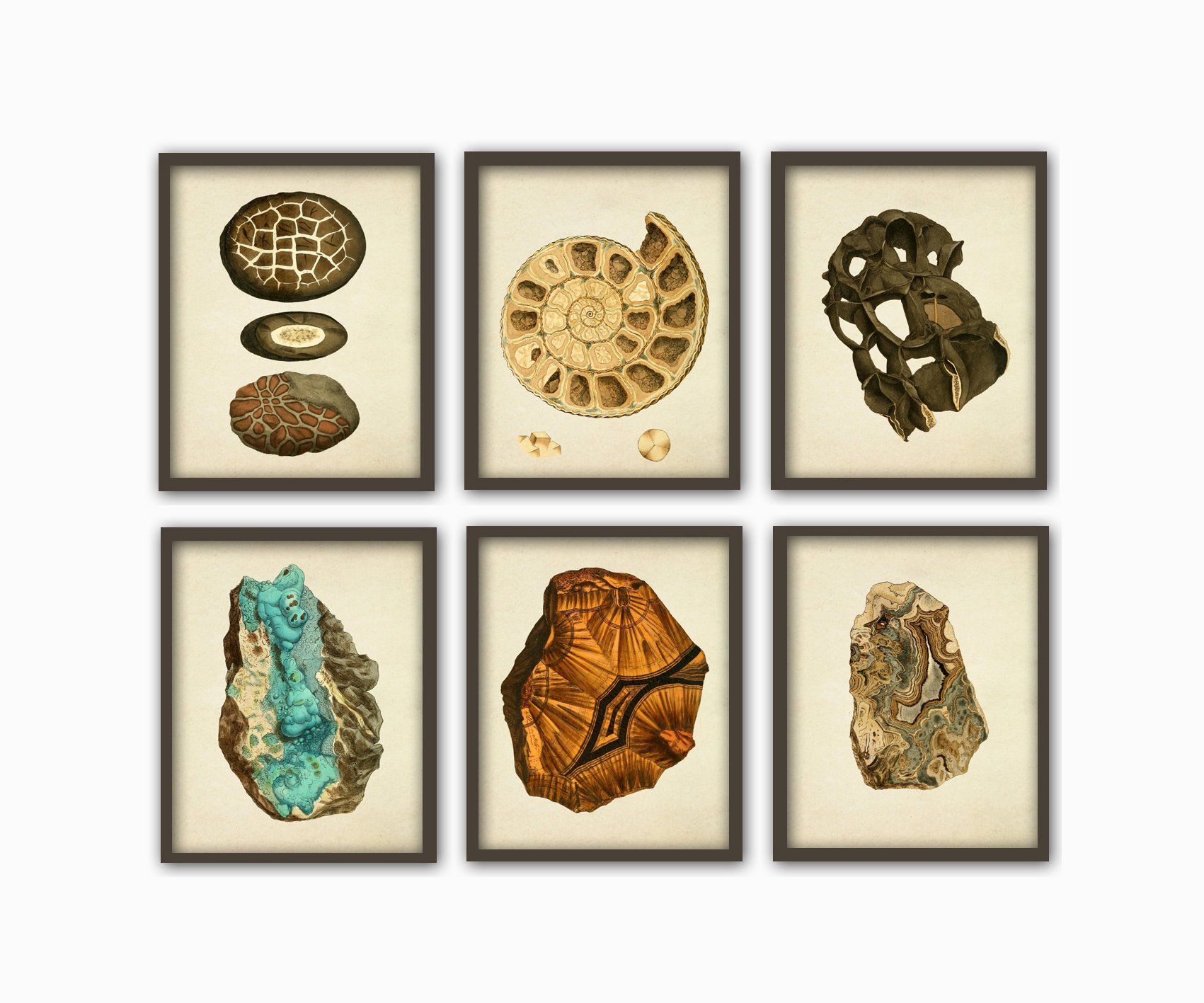 Stones And Minerals Print Set Of 6, Stones Mineral Art Decor, Geology With Regard To Minerals Wall Art (View 5 of 15)