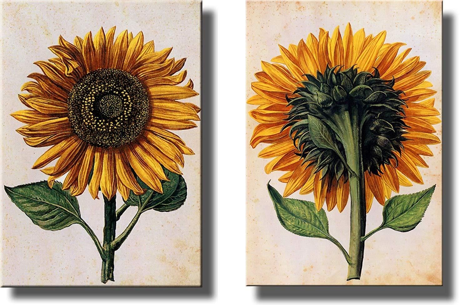 Sunflowers Picture On Stretched Canvas, Set Of 2 , Wall Art Decor Ready Pertaining To Sunflower Metal Framed Wall Art (View 13 of 15)