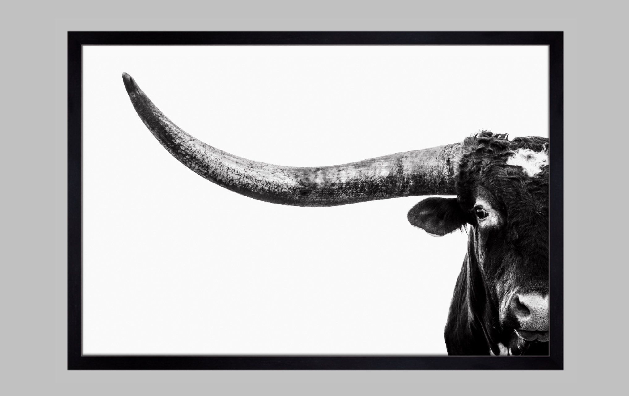 Texas Longhorn Bull Closeup Canvas Or Photo Print (View 10 of 15)