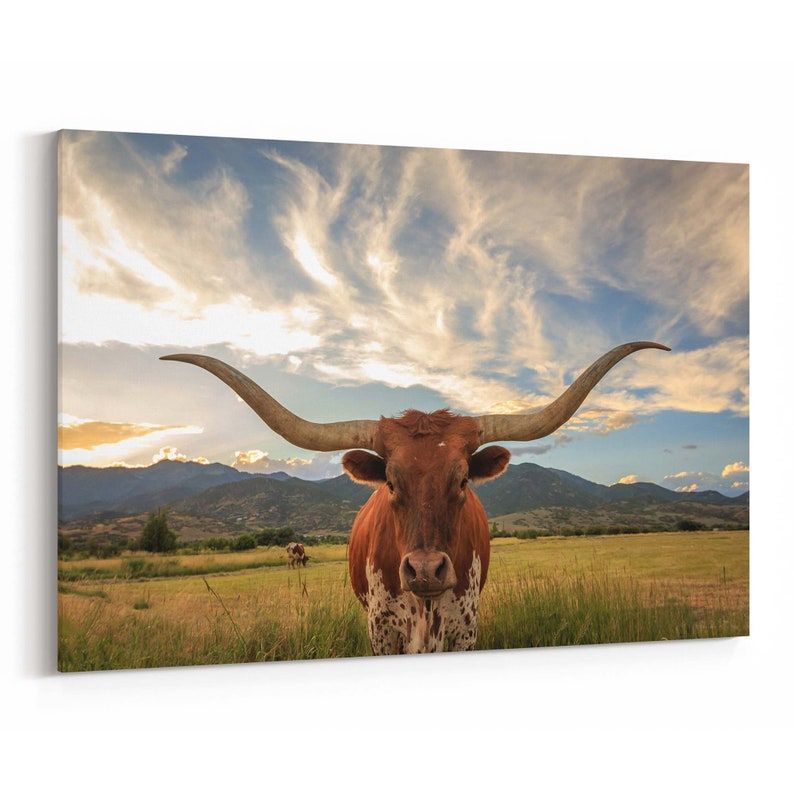 Texas Longhorn Canvas Print Texas Longhorn Wall Art Canvas | Etsy Inside Long Horn Wall Art (View 3 of 15)