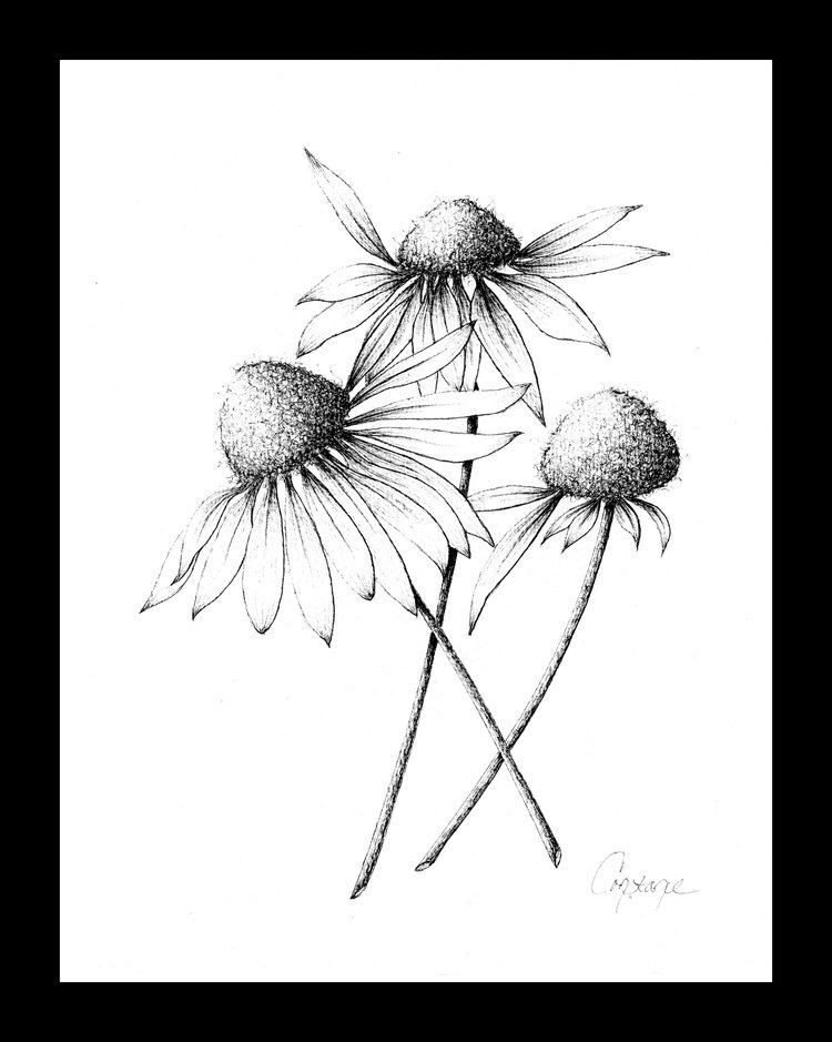Three Coneflowers In Inkconstance Reeder Art At As The Paint Flows Pertaining To Reeder Wall Art (View 13 of 15)