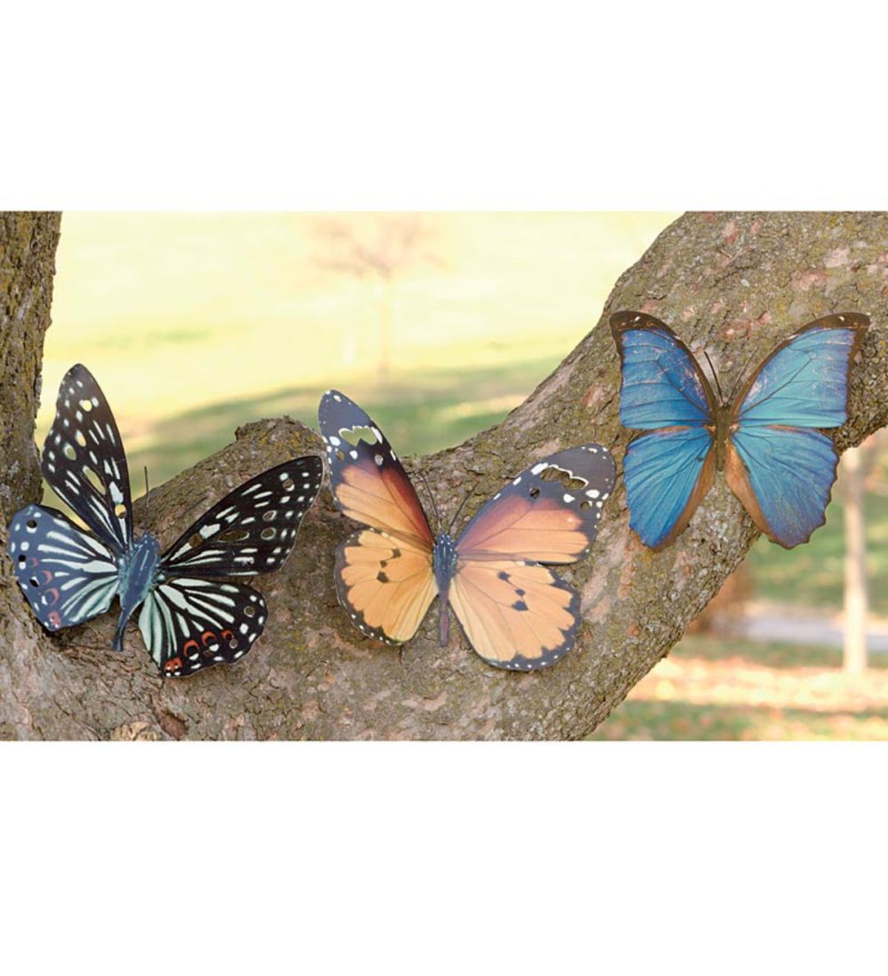 Tropical Butterfly Metal Wall Art – Black | Wind And Weather In 2020 Throughout Butterfly Metal Wall Art (View 13 of 15)