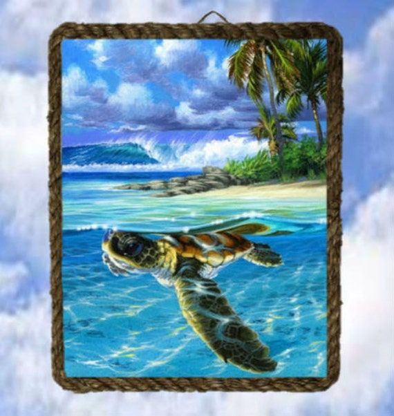 Turtle Swimming In Ocean Wall Decor Art 9X 11 Rope Frame With Regard To Swimming Wall Art (View 14 of 15)
