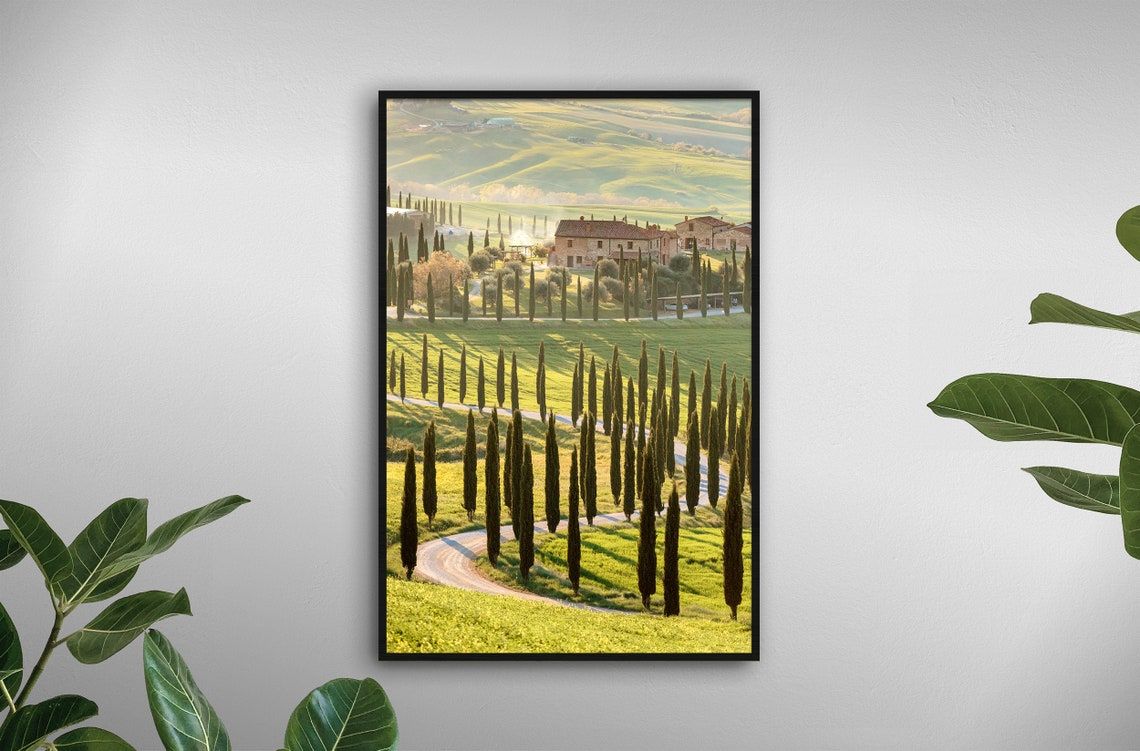 Tuscany Print Romantic Wall Art Italy Cypress Tree Print | Etsy Pertaining To Cypress Wall Art (View 13 of 15)