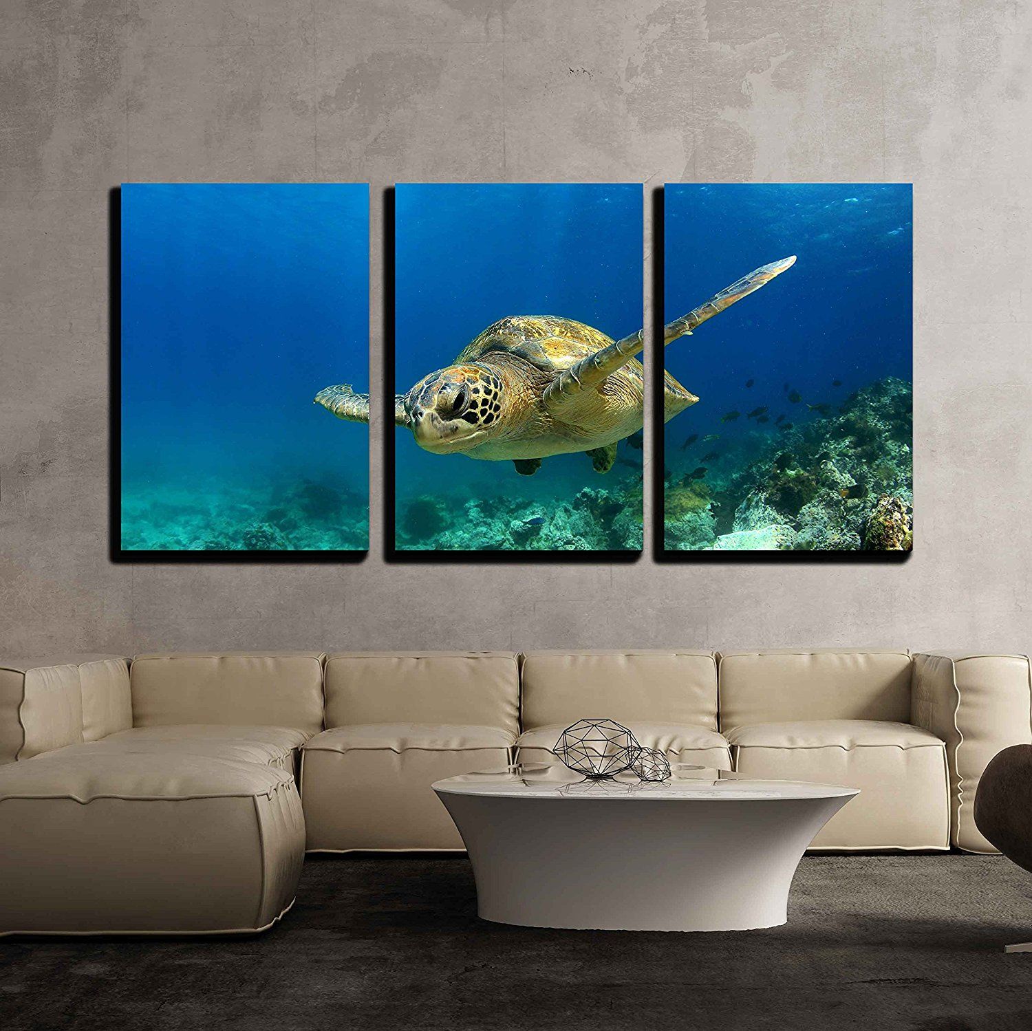 Wall26 3 Piece Canvas Wall Art – Green Sea Turtle Swimming Underwater Pertaining To Swimming Wall Art (View 3 of 15)