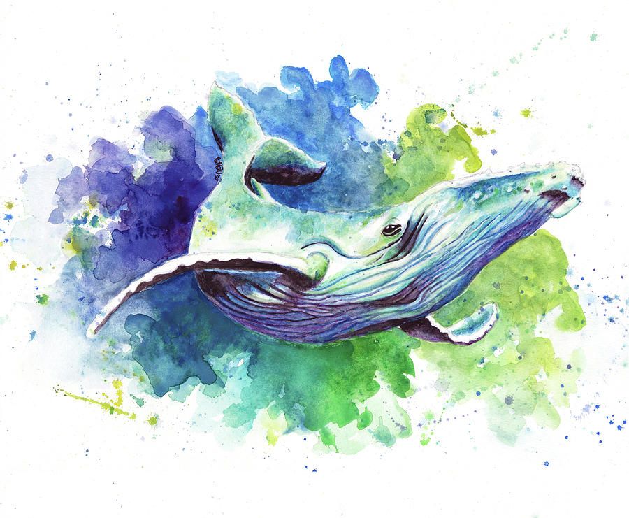Watercolor Humpback Whale Photographgretchen Valencic In Humpback Whale Wall Art (View 6 of 15)