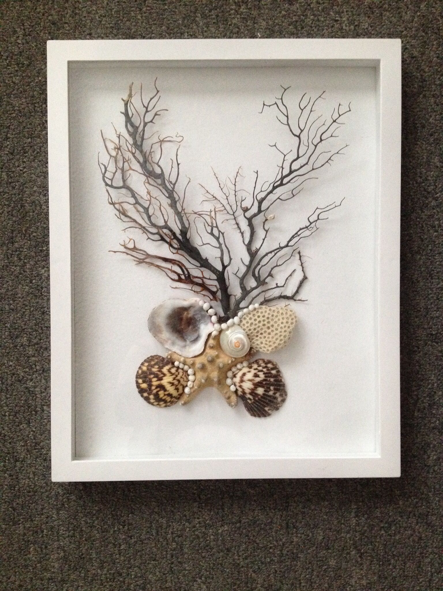 White Shadow Box With Sea Shells, Coral And Sea Fan | Seashell Wall Art Within Shadow Box Wall Art (View 3 of 15)