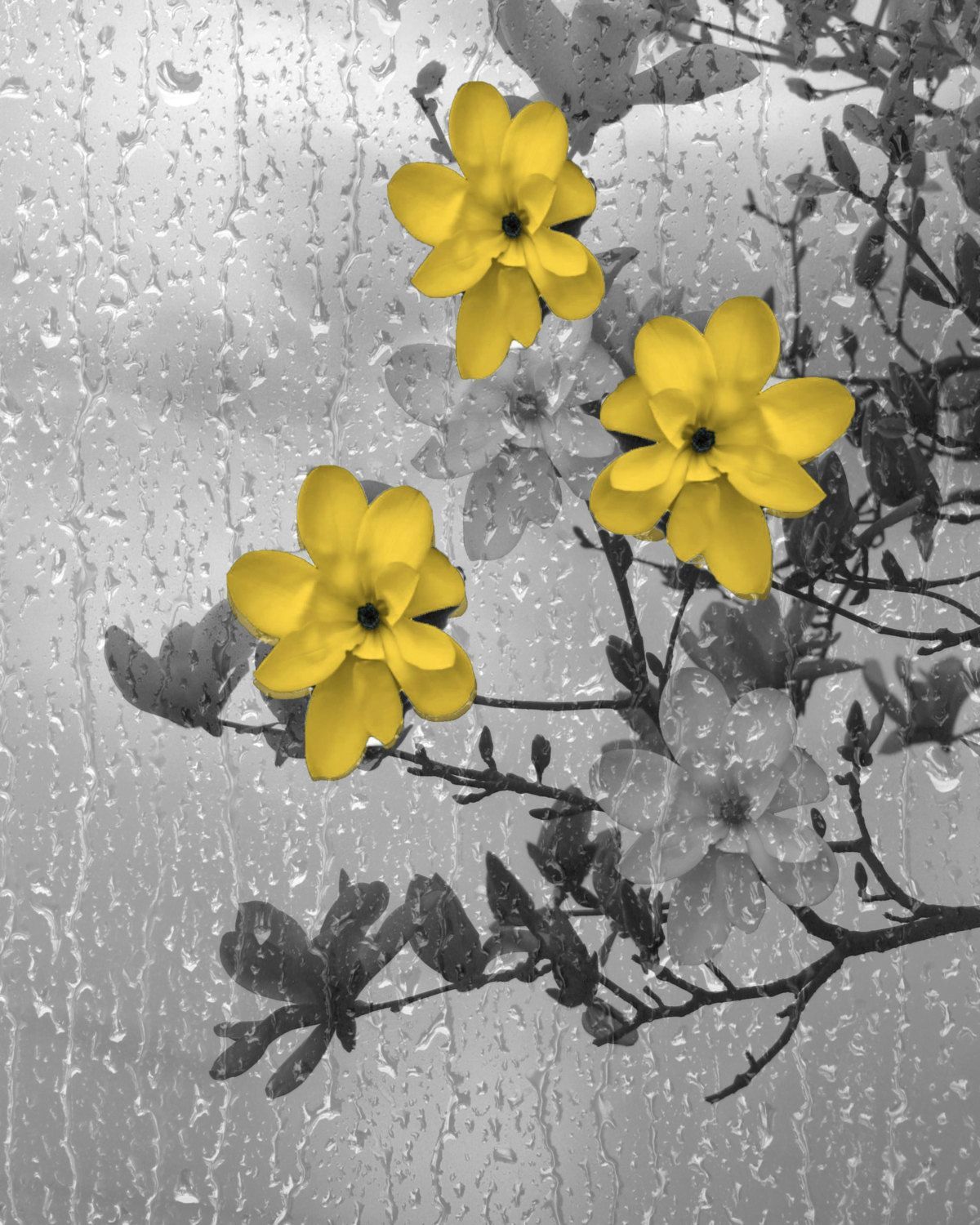 Yellow Gray Bathroom Decor Yellow Flowers Prints Raindrops | Etsy Within Yellow Bloom Wall Art (View 9 of 15)