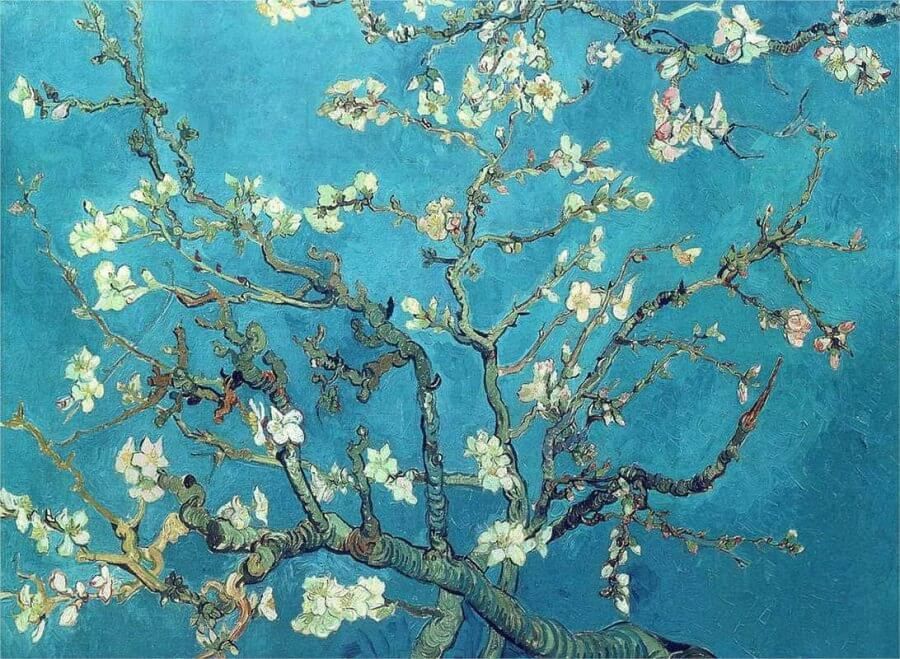 10 Secrets Of Almond Blossomvincent Van Gogh Inside Almond Blossoms Wall Art (View 2 of 15)