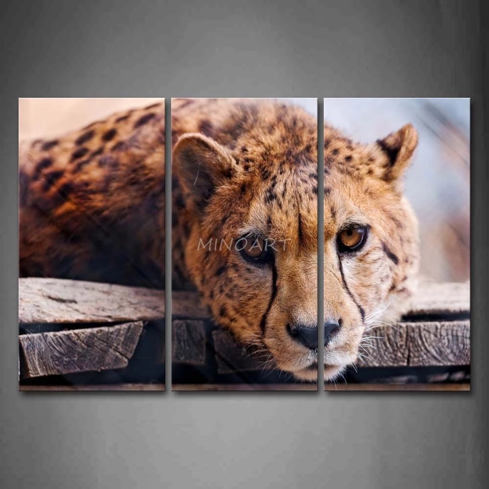 3 Peça Wall Art Peinture Cheetah Lie Sur Une Planche De Bois Photo  Reproductions Sur Toile Animaux 4 The Picture Home Decor Huile Affiches |  Aliexpress Pertaining To Cheetah Wall Art (View 10 of 15)