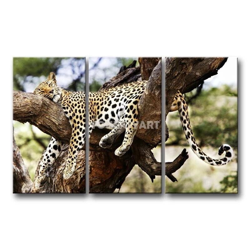 3 Piece Painting On Canvas Wall Art Sleeping Cheetah In Tree Branch  Pictures Print Animal The Picture Home Decor Oil Prints | Aliexpress For Cheetah Wall Art (View 5 of 15)