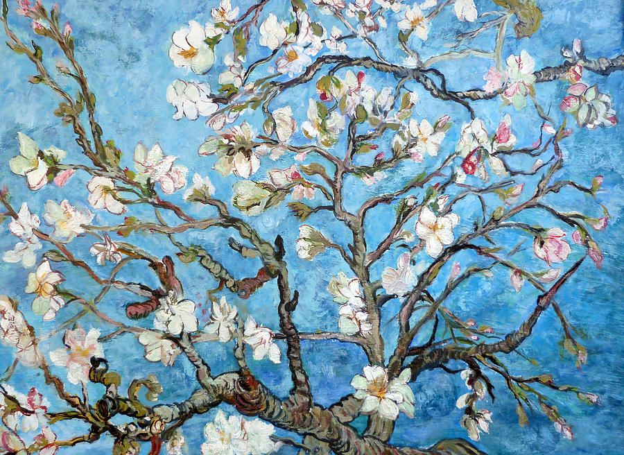 Almond Blossoms Paintingtom Roderick – Fine Art America Regarding Almond Blossoms Wall Art (View 6 of 15)