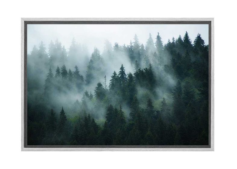 Buy Misty Pine Forest 2 | Canvas Wall Art Print Online Australia For Misty Pines Wall Art (View 10 of 15)