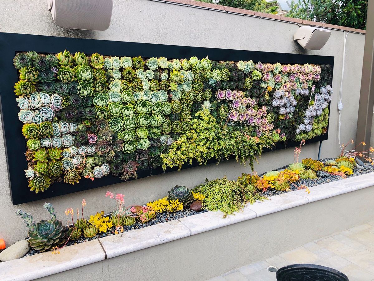 California Plantwalls : Outdoor Plant Wall Orange County Ca Regarding California Living Wall Art (View 14 of 15)