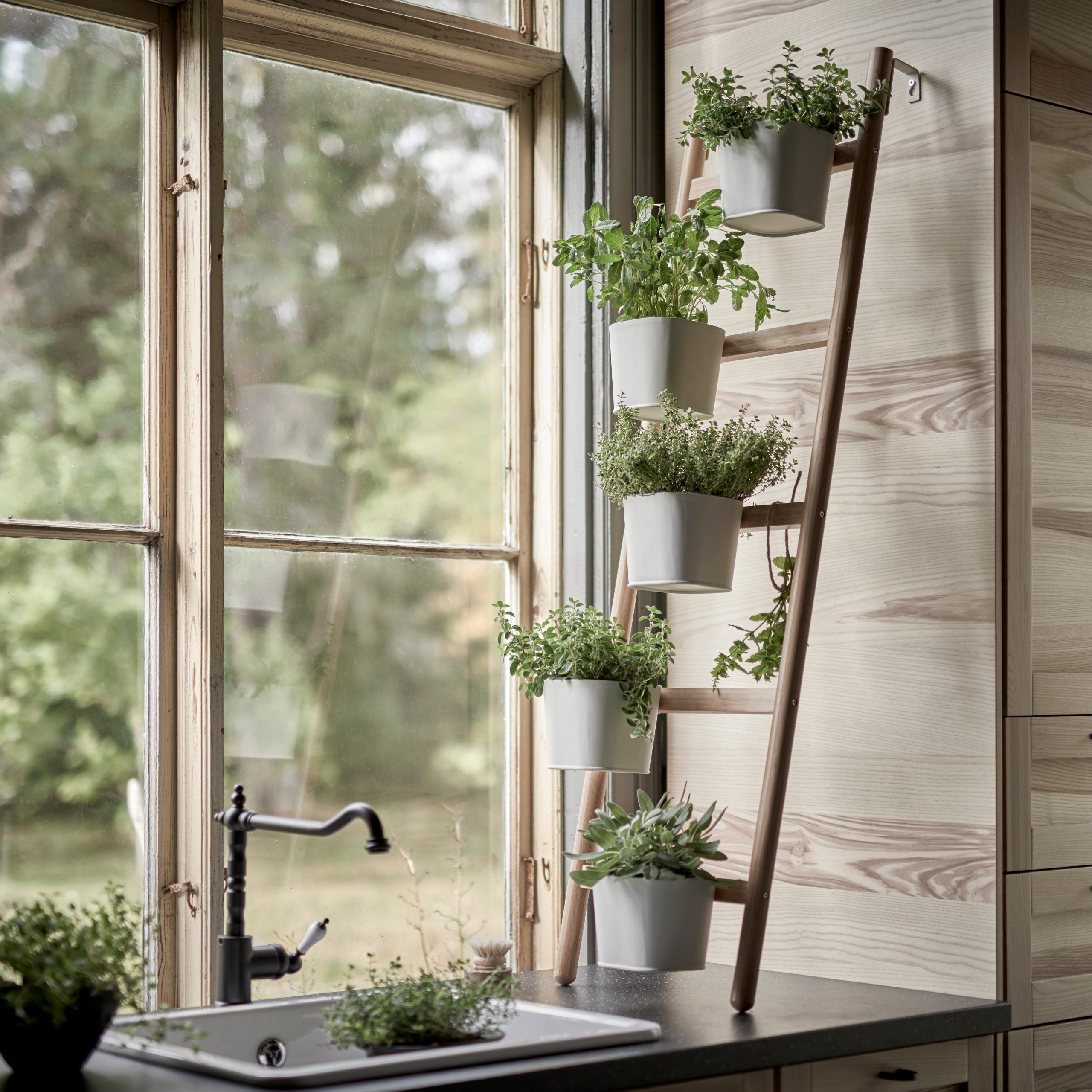 Create An Indoor Herb Garden: Tips To Grow Your Herbs | Architectural Digest For Inner Garden Wall Art (View 9 of 15)