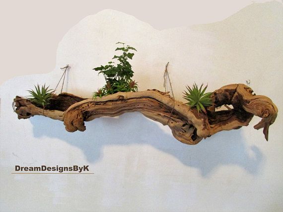 Extra Large 50" Unique Tree Root, Driftwood Wall Art – Large Driftwood  Pieces Root Natural Shelf, Driftwood Sculpture,rustic Shelf | Driftwood Wall  Art, Unique Trees, Driftwood Sculpture Within Roots Wood Wall Art (View 12 of 15)