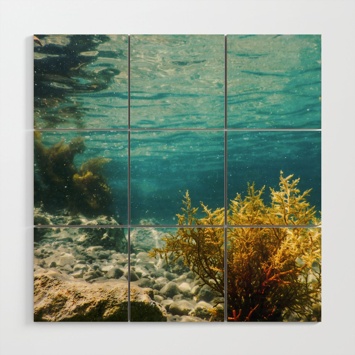 Forest Of Seaweed, Seaweed Underwater, Seaweed Shallow Water Near Surface Wood  Wall Artallexxandarx | Society6 Intended For Underwater Wood Wall Art (View 10 of 15)