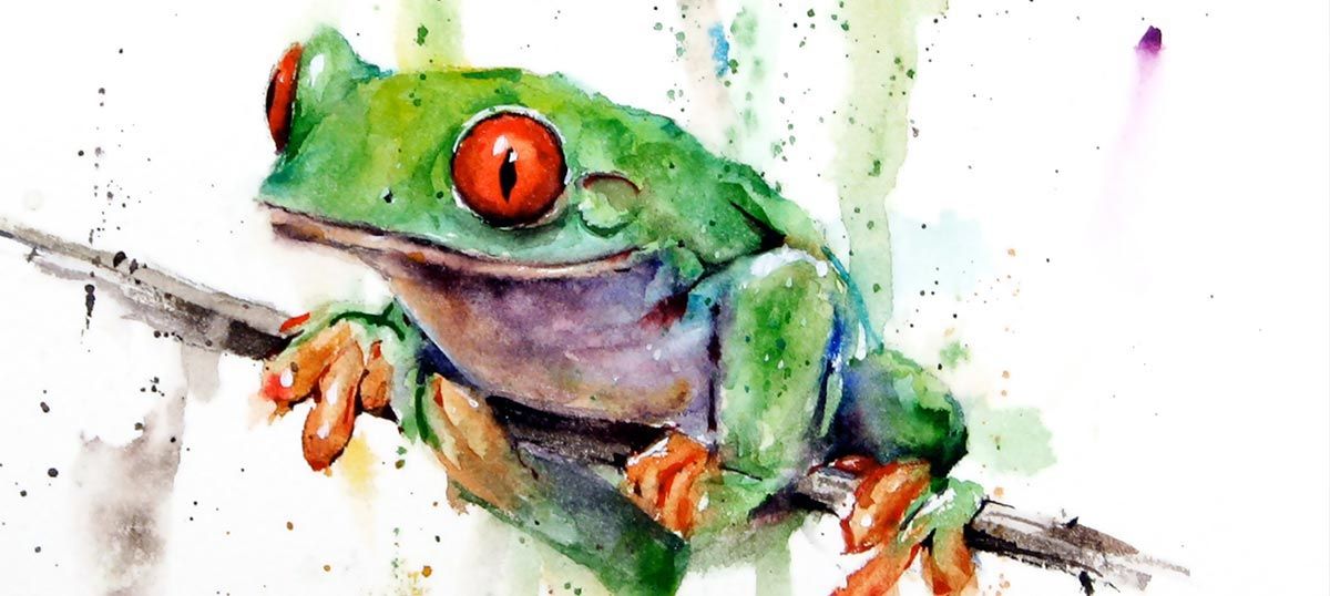 Frog Art: Canvas Prints & Wall Art | Icanvas With Frog Wall Art (View 7 of 15)
