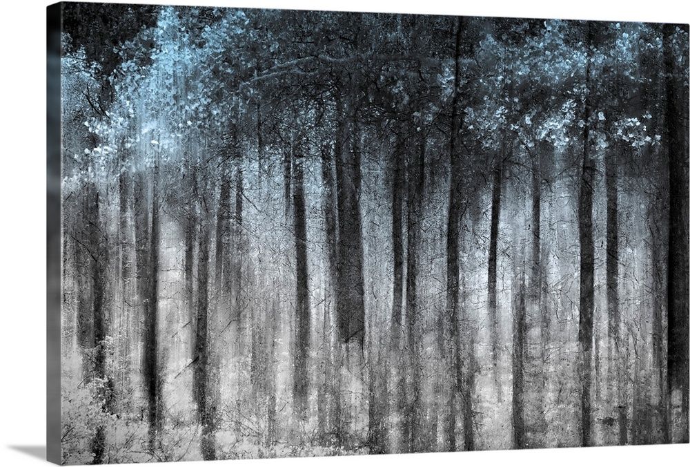 Ghost Forest Wall Art, Canvas Prints, Framed Prints, Wall Peels | Great Big  Canvas In Forest Wall Art (View 10 of 15)