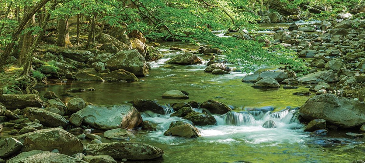 Great Smoky Mountain National Park: Canvas Prints & Wall Art With Smoky Mountain Wall Art (View 10 of 15)