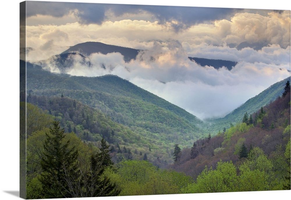 Great Smoky Mountains National Park, North Carolina Wall Art, Canvas  Prints, Framed Prints, Wall Peels | Great Big Canvas Intended For Smoky Mountain Wall Art (View 5 of 15)
