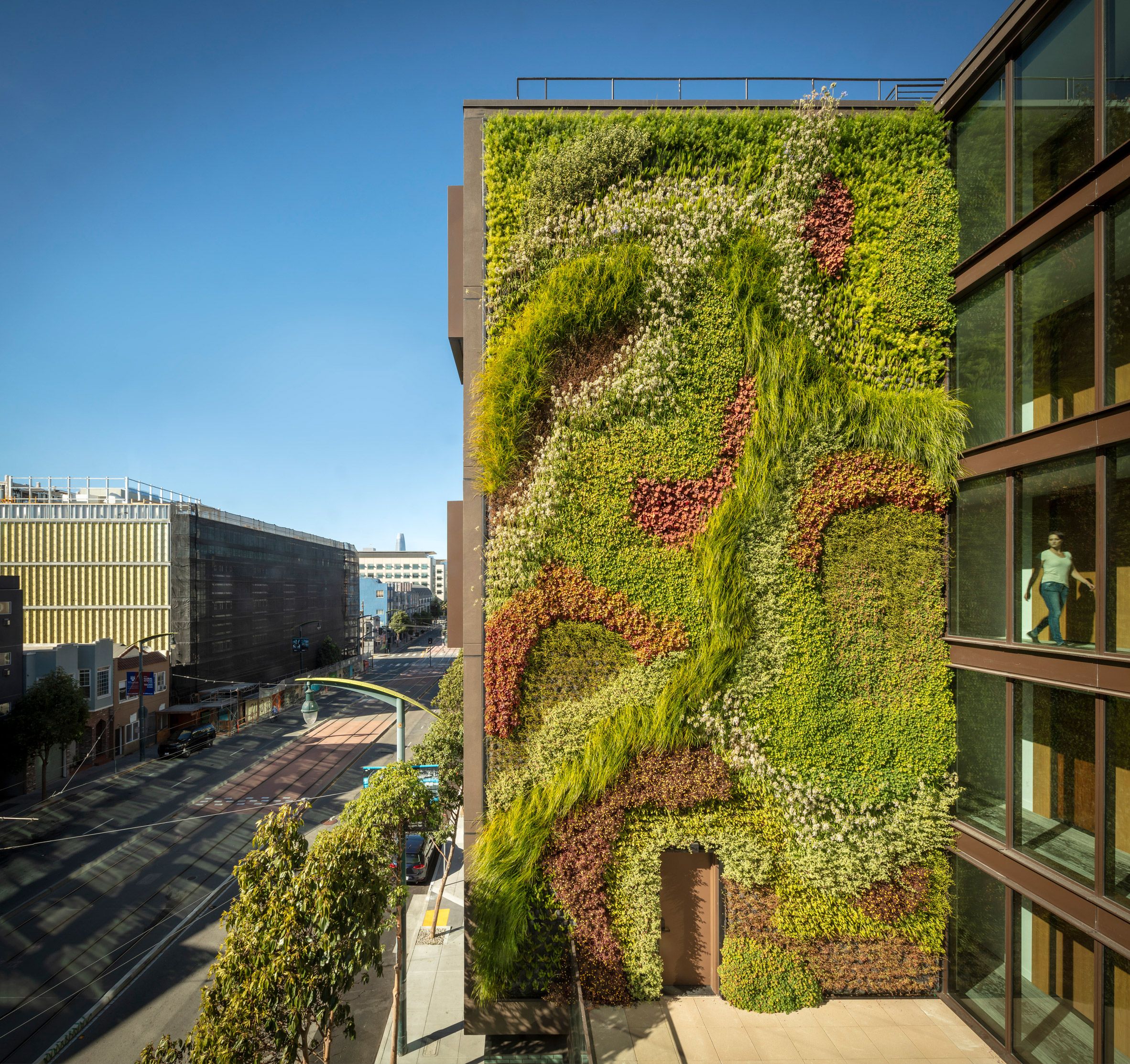 Green Wall Grows Five Storeys Up 2177 Third Street In San Francisco In California Living Wall Art (View 4 of 15)