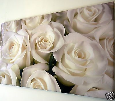 Ivory White Rose Canvas Print Wall Art Picture 18 X 32 Inch | Ebay Within Roses Wall Art (View 6 of 15)
