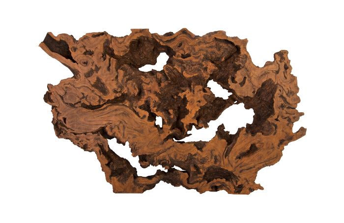 Large Brown Burled Root Wall Art For Roots Wood Wall Art (View 4 of 15)