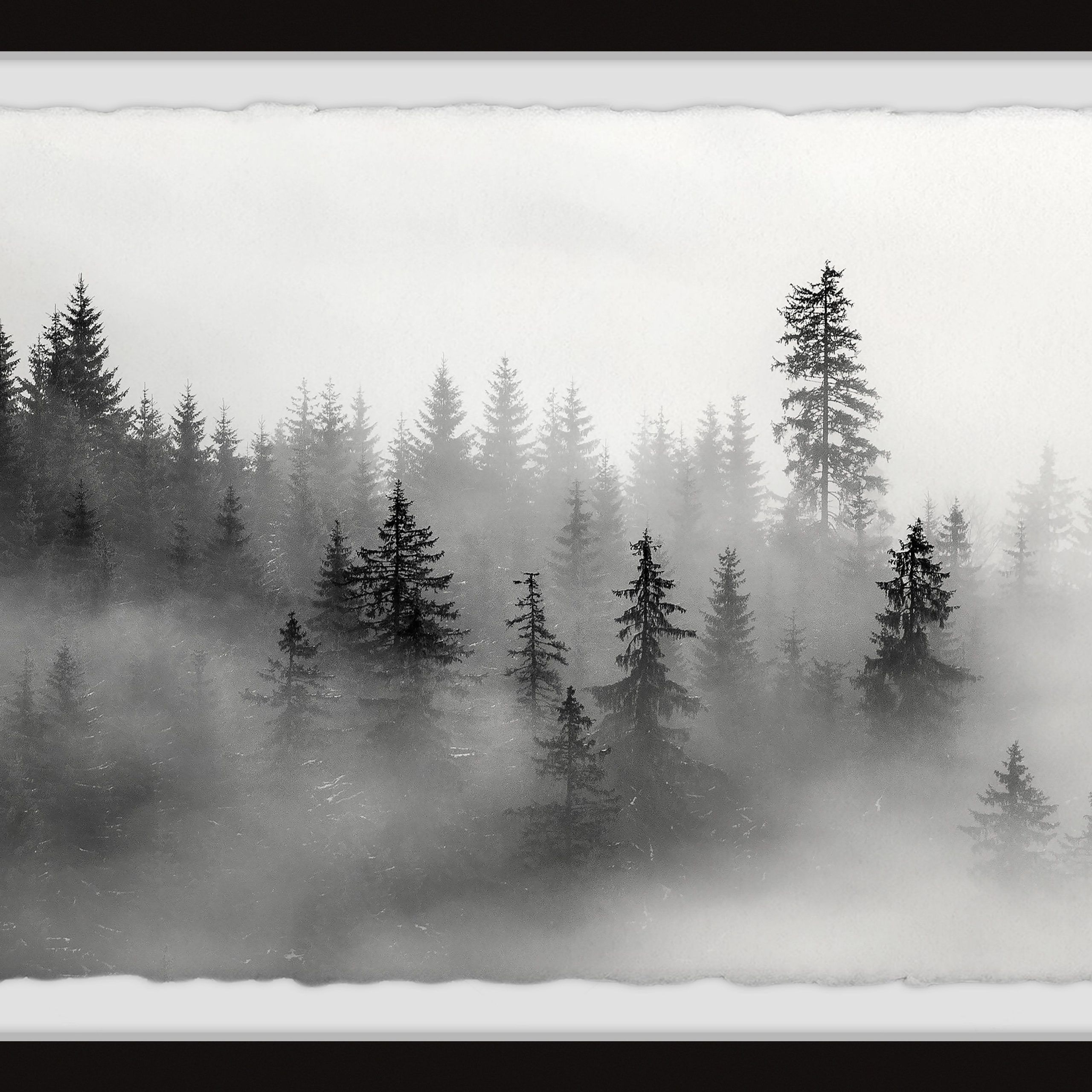 Marmont Hill The Mysterious Dark Forest Framed Wall Art – Walmart Throughout Forest Wall Art (View 13 of 15)