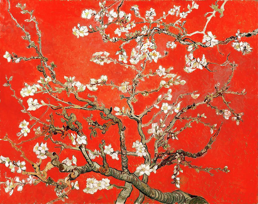 Red Almond Blossoms Paintingvincent Van Gogh – Fine Art America Throughout Almond Blossoms Wall Art (View 8 of 15)