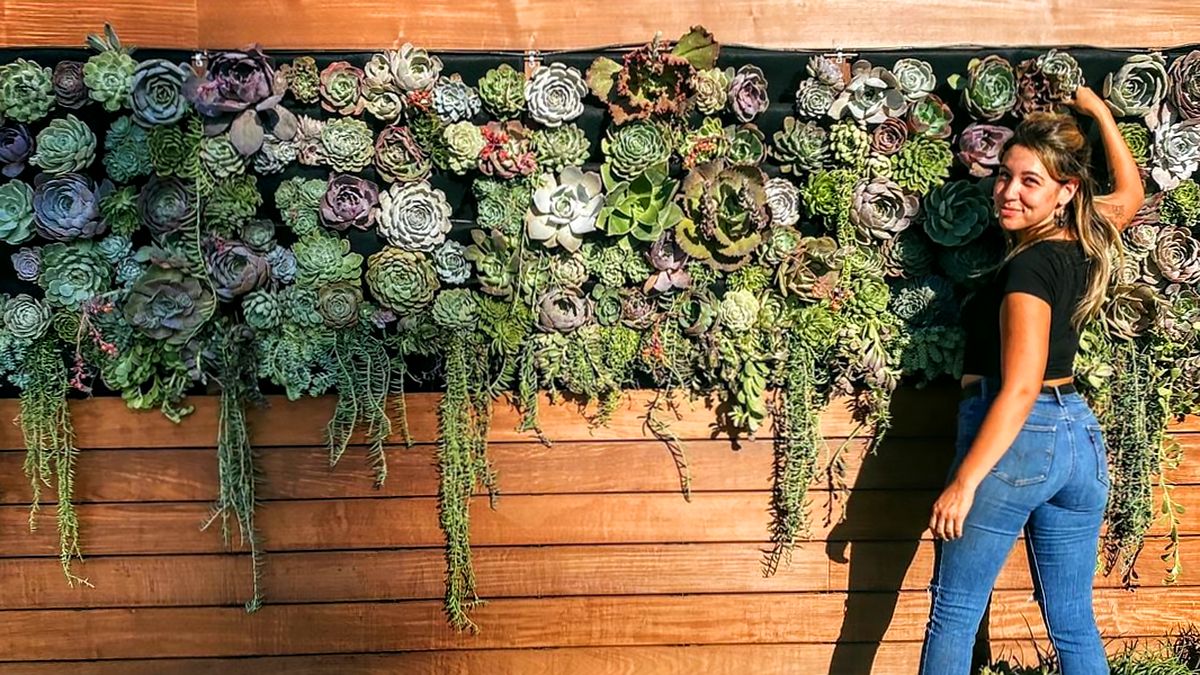 Succulent Masterpieceangelica Cook For M On High Street Restaurant In  Moorpark, California — Florafelt Living Wall Systems Within California Living Wall Art (View 3 of 15)