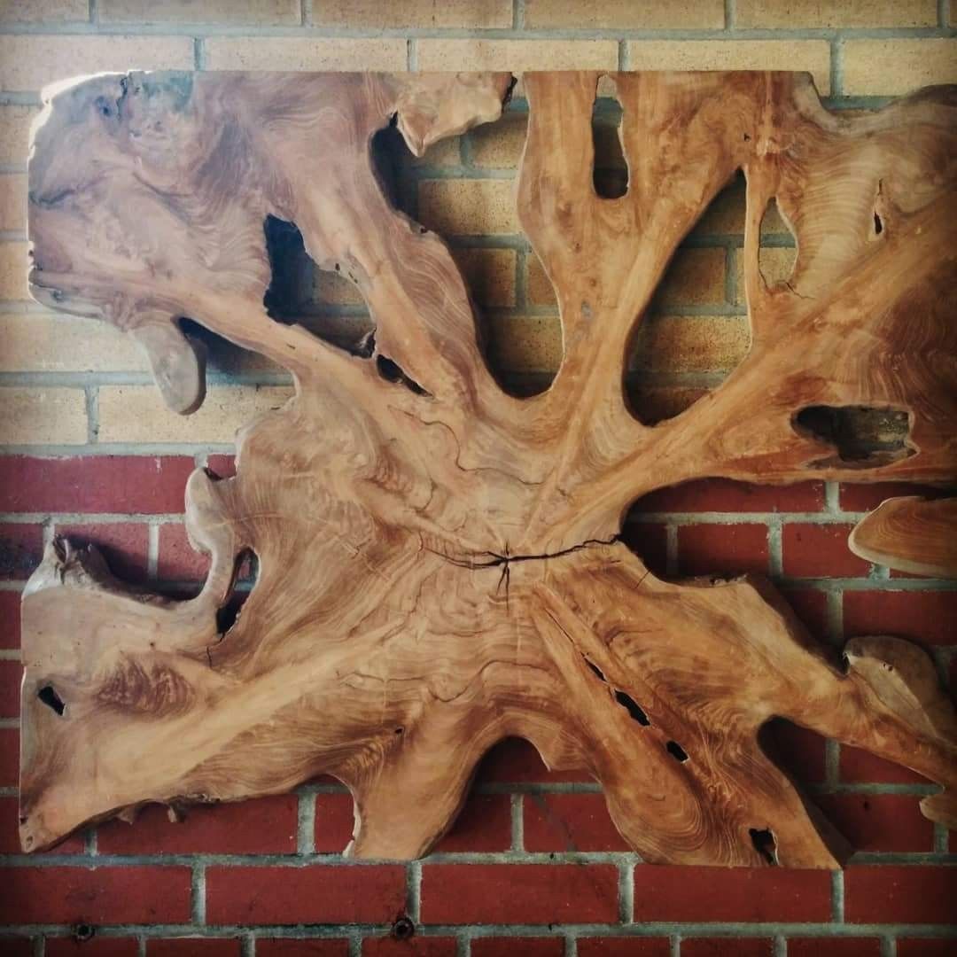 Teak Root Wall Art When Working With Salvaged Teak Roots The  Possibilities Are Endless? From End Tables And Coffee Tables, To Platters  And Bowls, The Organic… Inside Roots Wood Wall Art (View 8 of 15)