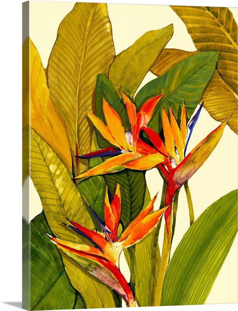 Tropical Bird Of Paradise Wall Art, Canvas Prints, Framed Prints, Wall  Peels | Great Big Canvas Within Tropical Paradise Wall Art (View 5 of 15)