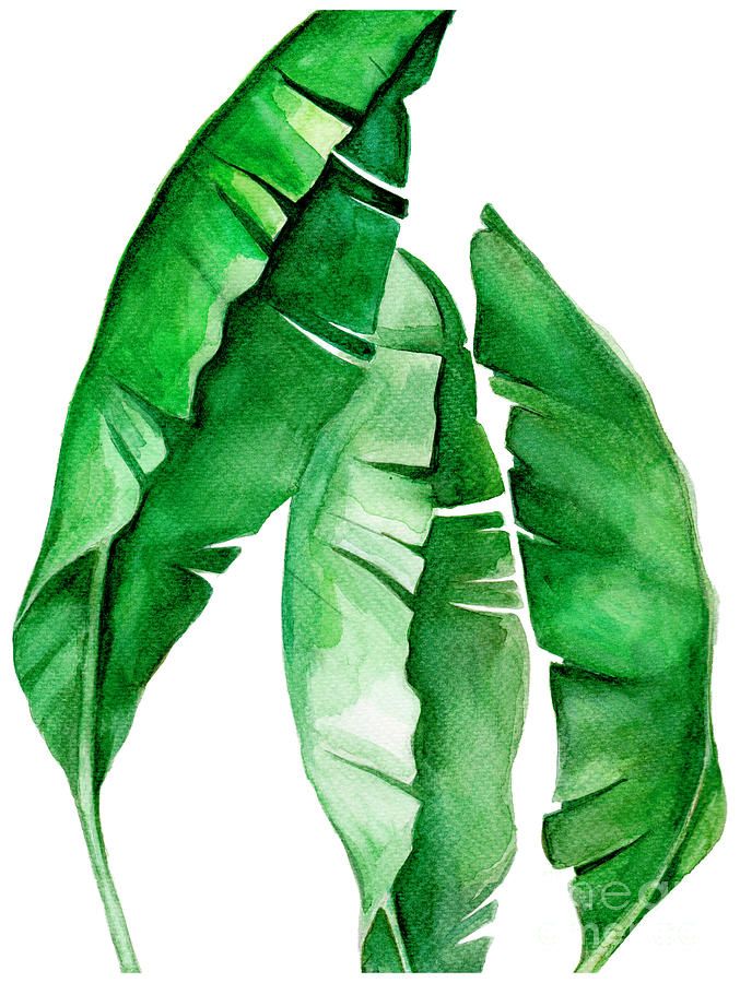 Tropical Leaf I Paintingpdfdecor Wall Art – Pixels Throughout Tropical Leaves Wall Art (View 11 of 15)