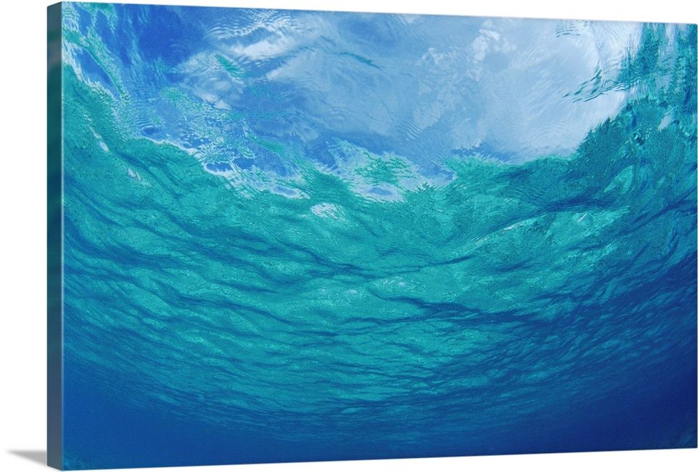 Underwater Ocean Looking Upward To Surface, Blue Sky Reflection Wall Art,  Canvas Prints, Framed Prints, Wall Peels | Great Big Canvas Pertaining To Underwater Wall Art (View 14 of 15)