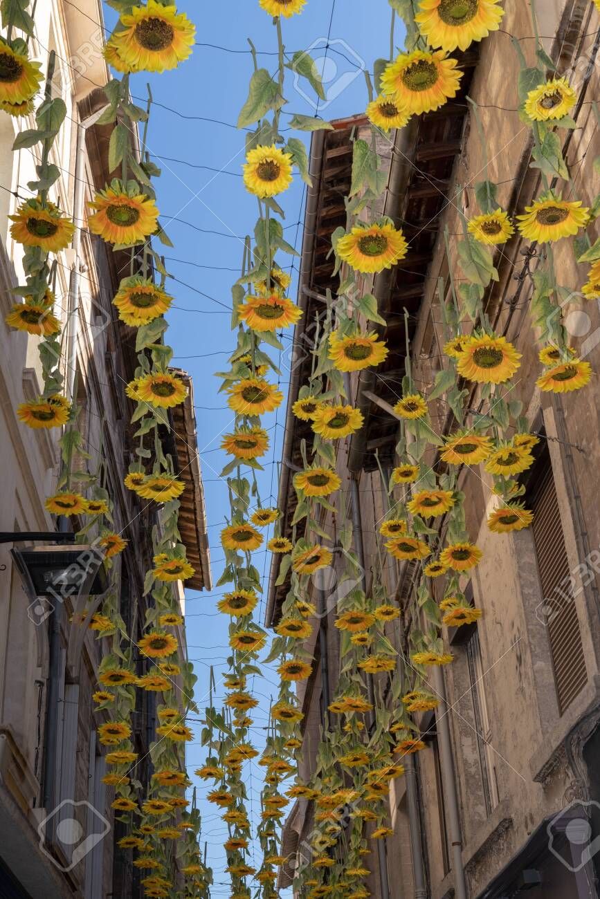 Beautiful Artistic Decorations Sunflower Flowers Hanging On The Street  Stock Photo, Picture And Royalty Free Image. Image 129574410. Regarding Hanging Sunflower (Photo 4 of 15)